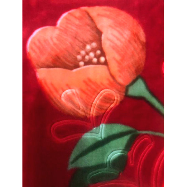 Red Barrel Studio® Drumaroan Heavy Korean Mink Blanket & Reviews Wayfair